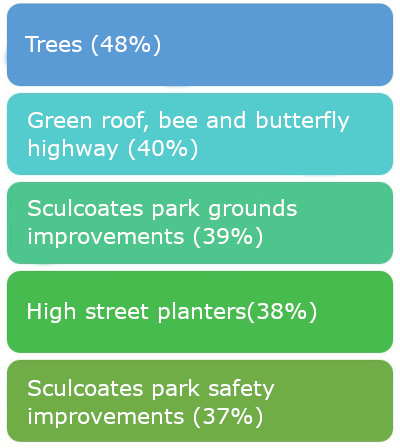 Point 1. Trees 48 percent. Point 2. Green rood, bee and butterfly highway forty percent. Point 3. Sculcoates park ground improvements. 39 percent. Point four. High street planters. 38 percent. Point five. Park safety. 37 percent.